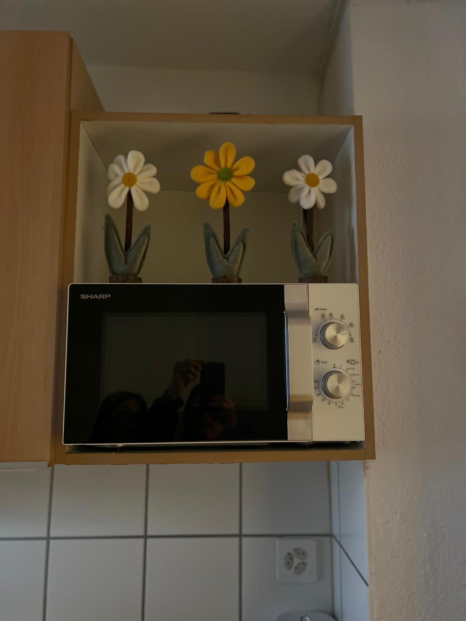 Appartement El Destino